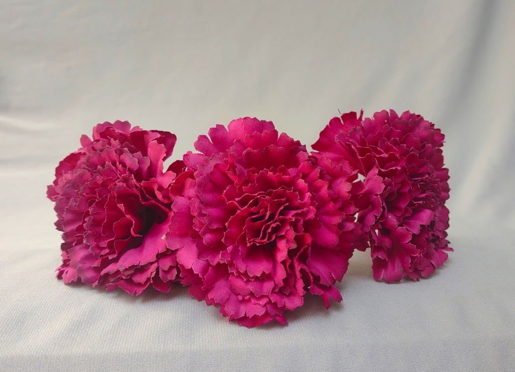 Clavel