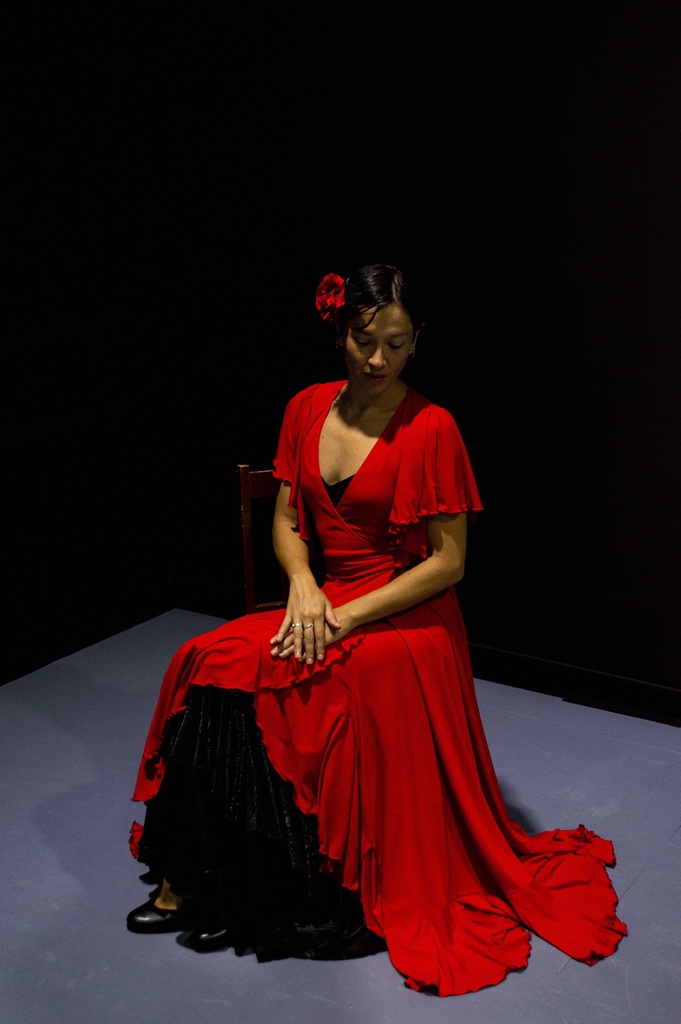 Sobre vestido flamenco