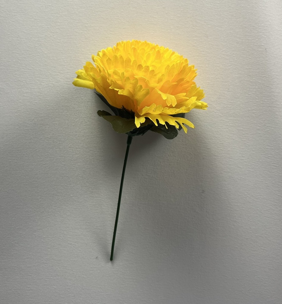 Clavel