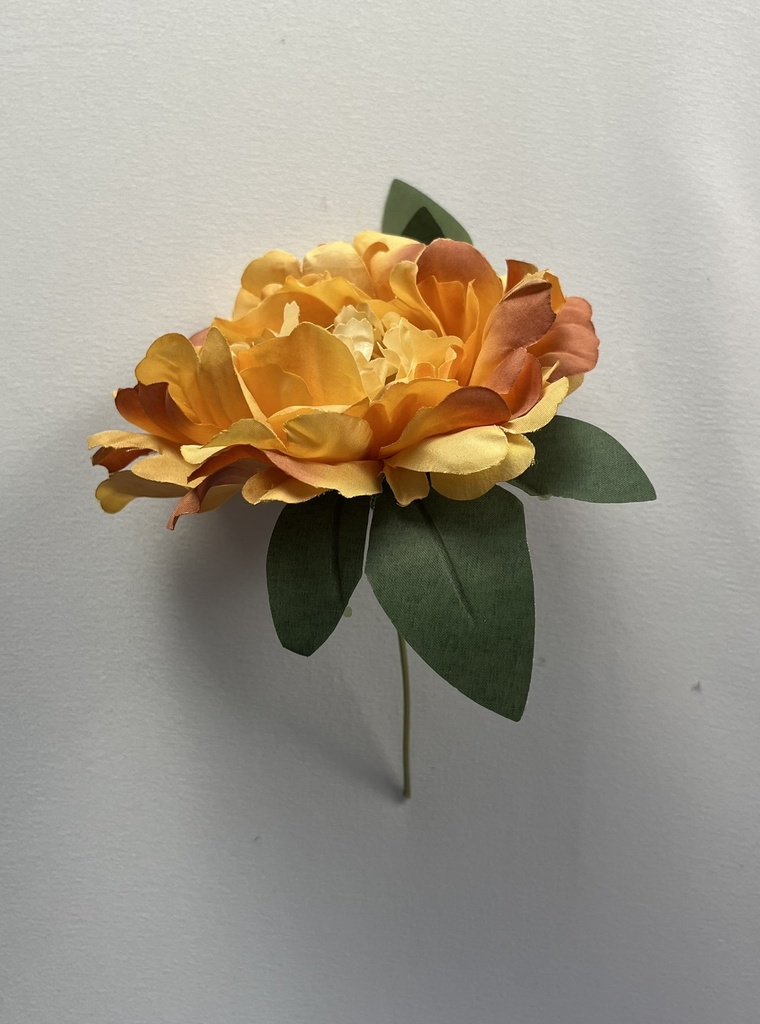 Flor Peonia