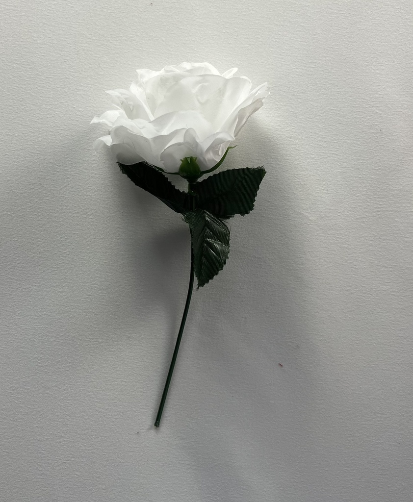 Rosa pequeña de diferente colores