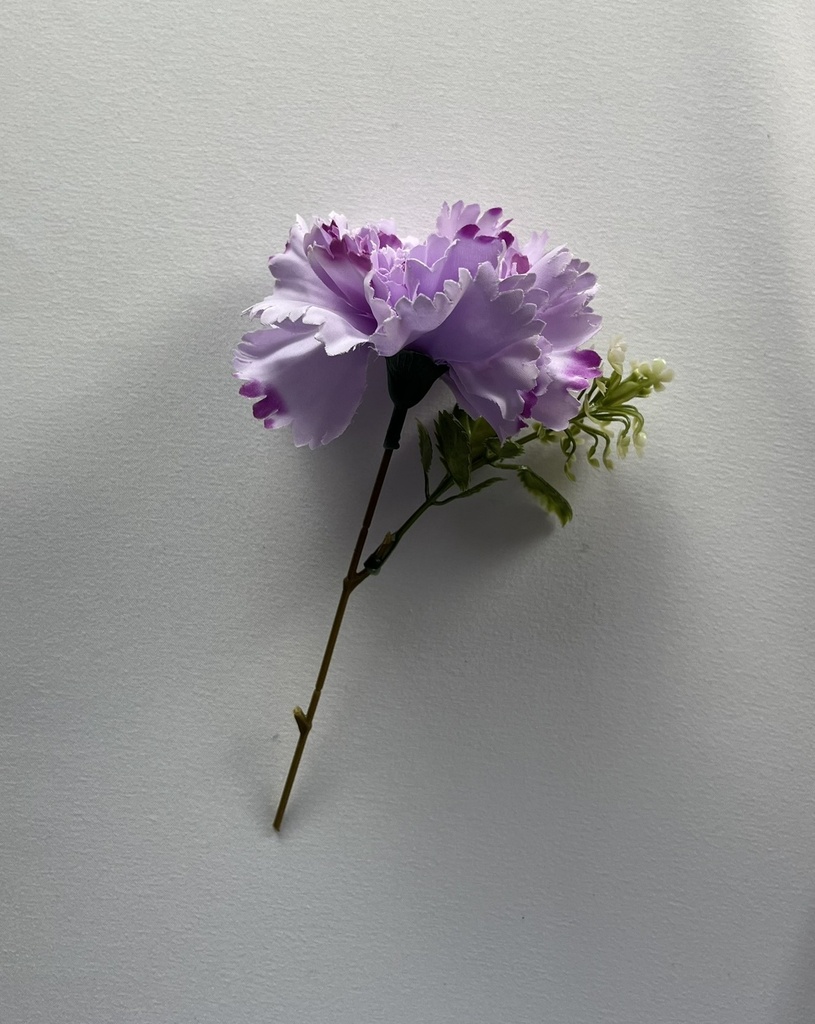 Clavel Bush