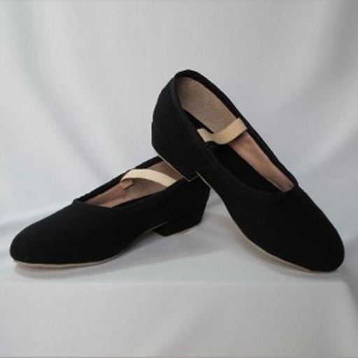 Zapato de carácter Tacón bajo