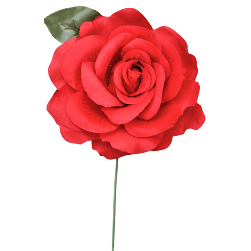 Flor española chica