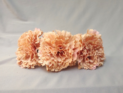Clavel