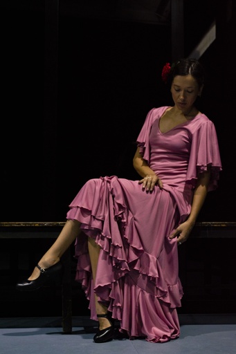 [VES01325015] Vestido Jacinta rosa