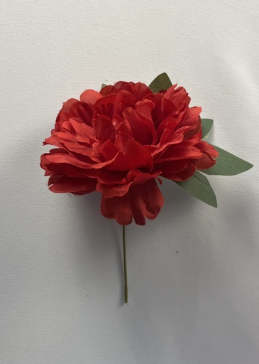 Flor Peonia