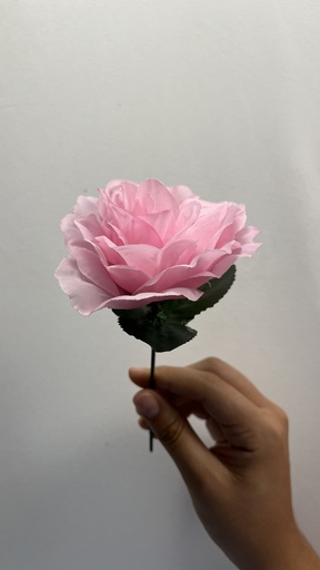 Rosa pequeña de diferente colores
