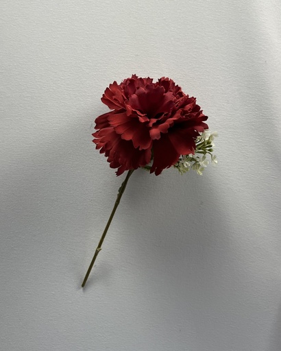 Clavel Bush